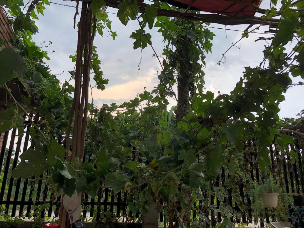 Bau Bi Mini Farmstay Mekong - Tien Giang 美拖 外观 照片