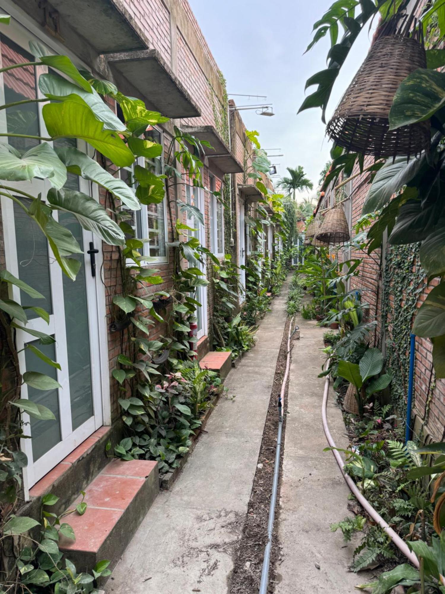 Bau Bi Mini Farmstay Mekong - Tien Giang 美拖 外观 照片
